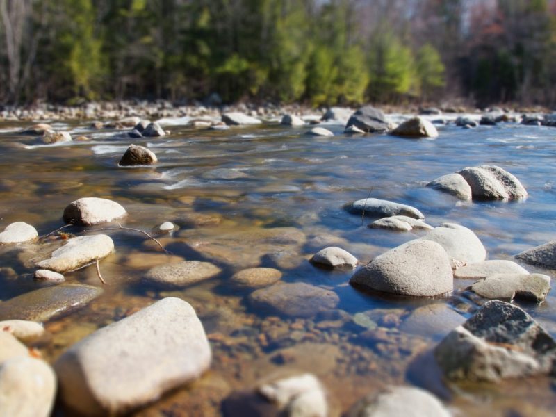 summer-rocks-trees-river